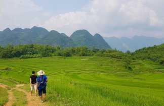 Randonneurs dans les rizières au Vietnam