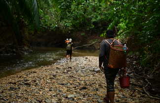 randonneurs pendant la randonnée à Bornéo en Malaisie