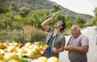 Rencontre avec un agriculteur grec et ses citrons