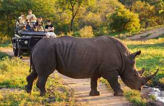 Rencontre de voyageurs en 4x4 avec un rhinocéros en safari en Afrique du Sud