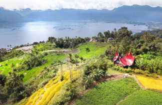 Rice field parts divided to plots by water channels and pathways,aerial shot, West Sumatra,Maninjau lake area,Indonesia