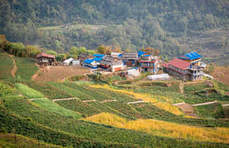 Rizières au dessus d'un village au Népal