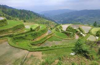 Rizières vallée Zhaoxing
