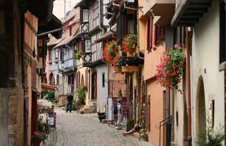 Rue du village d'Eguisheim