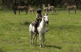 Safari à cheval pour enfant dans le Waterberg