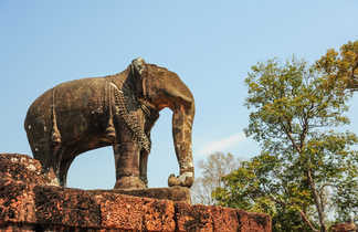 sanctuaire Elephants Angkor