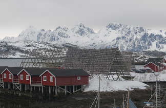 Séchoirs à morue dans les îles Lofoten