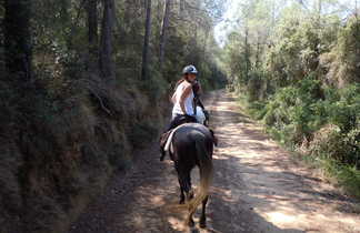 Séjour à cheval en Catalogne - A cheval en forêt