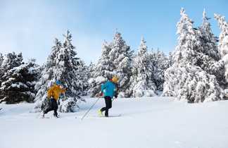 Ski de fond dans les forêts enneigées de la Laponie finlandaise