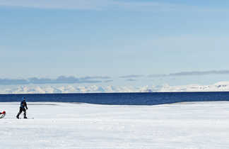 Photo d'un skieur au Svalbard