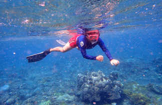 Snorkeling a Amed