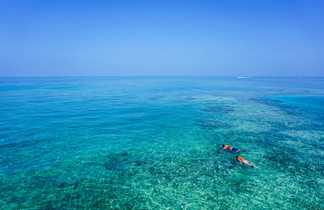 Snorkeling dans les Caraïbes