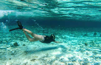 Snorkelling dans les eaux cristalline de l'île de Komodo