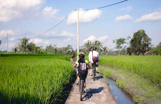 Sortie vélo en famille dans les rizières