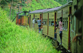 Train sri lankais au milieu des plantations au Sri Lanka