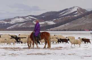 Transhumance avec les nomades mongoles