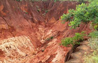 Tsingys rouges de Madagascar