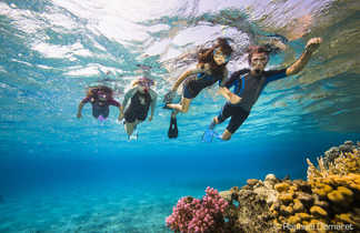 Une croisière snorkeling en Egypte : des souvenirs inoubliables pour toute la famille !