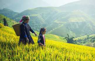 Une femme et une fille dans les rizières de Ha Giang au Vietnam