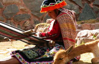 une femme fait atelier manuel de textile, avec une vigogne à côté d'elle