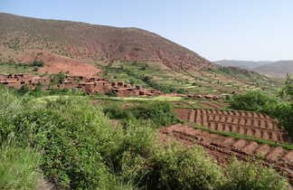 Vallée cultivée, Haut Atlas Central, Maroc