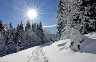 Vercors sous la neige