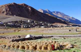 Village et vie locale en Inde Himalayenne
