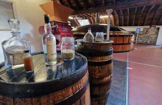 Visite d'une distillerie de Whisky en Ecosse