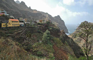 Vue sur des cultures en terrasse sur l’île de Santo Antao au Cap Vert