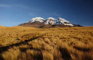 Vue sur le Chimborazo en Equateur