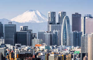 Vue sur les building de Tokyo avec le mont Fuju en arrière plan