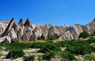 Vue sur les cheminées de fées en Cappadoce en Turquie
