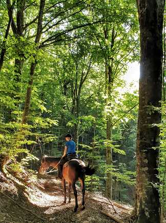 A cheval dans la forêt de Toscane