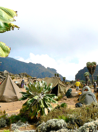 Campement sur le Kili Tanzanie
