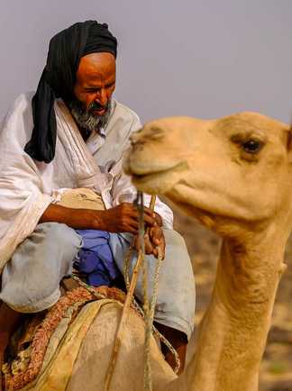 Chamelier portrait, Mauritanie