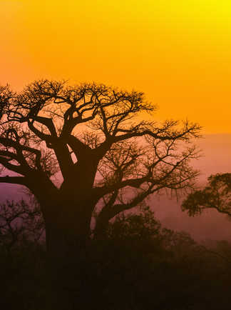 coucher de soleil dans la région du Limpopo