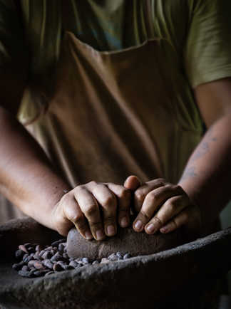 Culture du cacao au Costa Rica