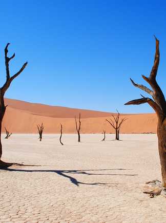Deadvlei en Namibie