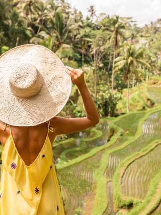 Décors incontournable : les rizières en escalier de Bali