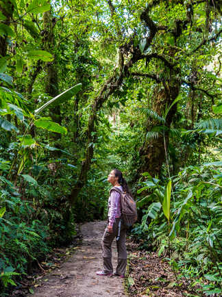 Femme dans la jungle du Costa Rica