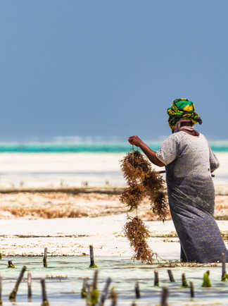 Femme qui travaille sur une plage de Zanzibar