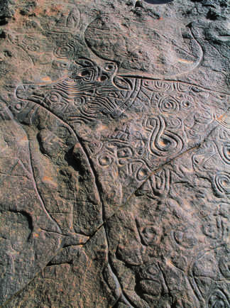 Gravure rupestre d'Auroch à Dider, Ajjers, Algérie