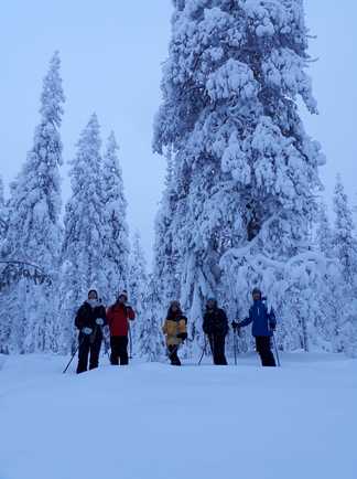 Groupe en raquettes, voyage en Laponie finlandaise