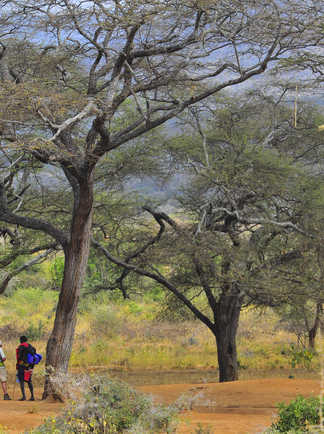 Groupe voyageurs avec masaï brousse kenya
