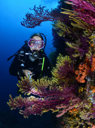 La plongée au milieu des gorgones de Méditerranée donne le sourire