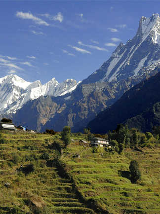 La vallée de la Modi khola, dominée par le Machhapuchhre