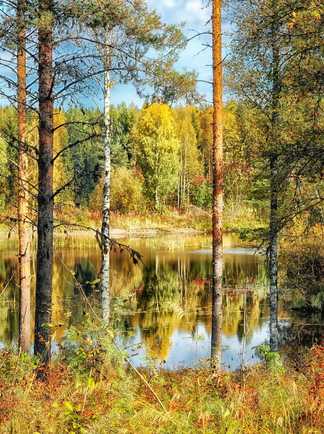 Lac des forêts finlandaises lors des randonnées