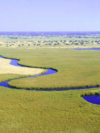 delta Okavango botswana