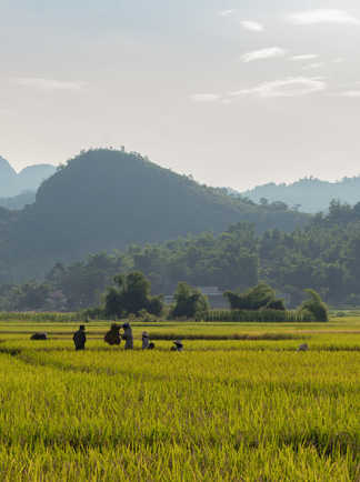 Les paysages de la région de Mai Chau au Vietnam