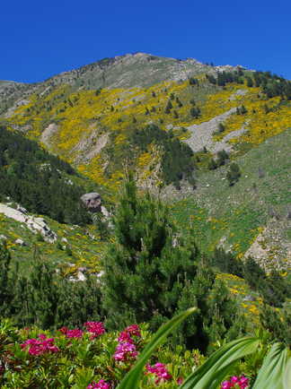 Paysage de montagne dans le massif du Vallespir, Pyrénées